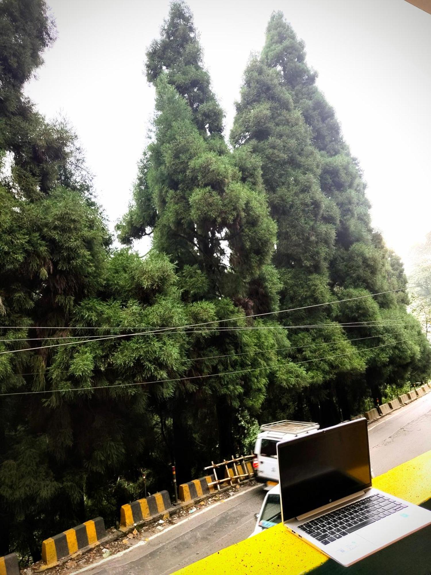 Hidden Monkey Backpackers Darjeeling, Batasia Darjeeling  Exterior photo